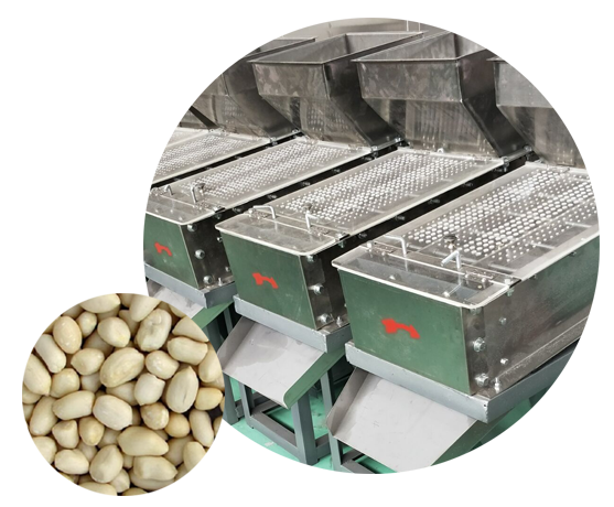 Dry type peanut peeling machine